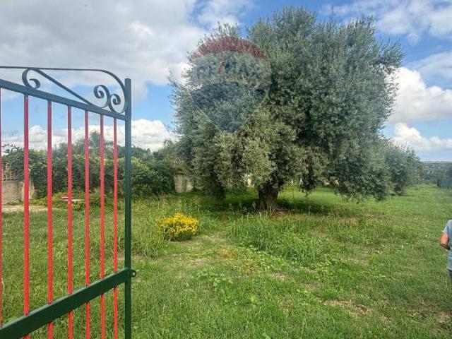 Terreno agricolo in vendita a Siracusa