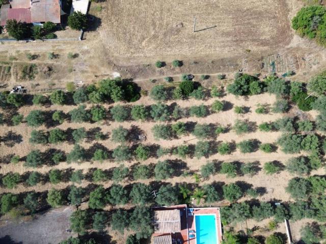 Terreno agricolo in vendita a Siracusa
