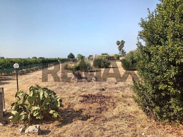 Terreno agricolo in vendita a Siracusa