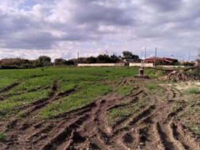 Terreno agricolo in vendita a Siracusa