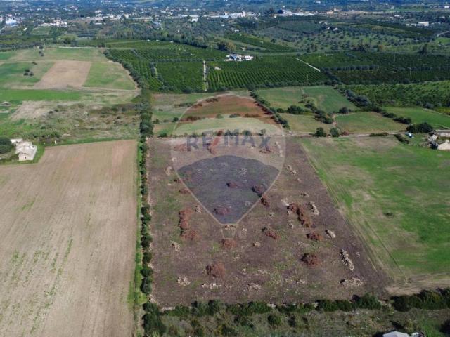 Terreno agricolo in vendita a Siracusa