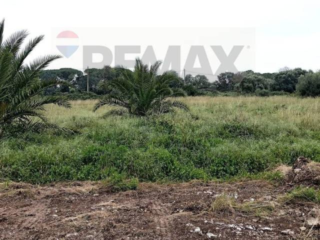 Terreno agricolo in vendita a Siracusa