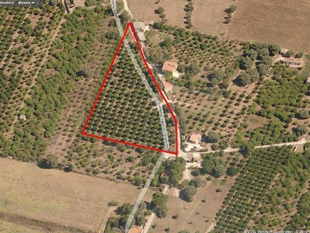 Terreno Agricolo in vendita a Siracusa, Belvedere