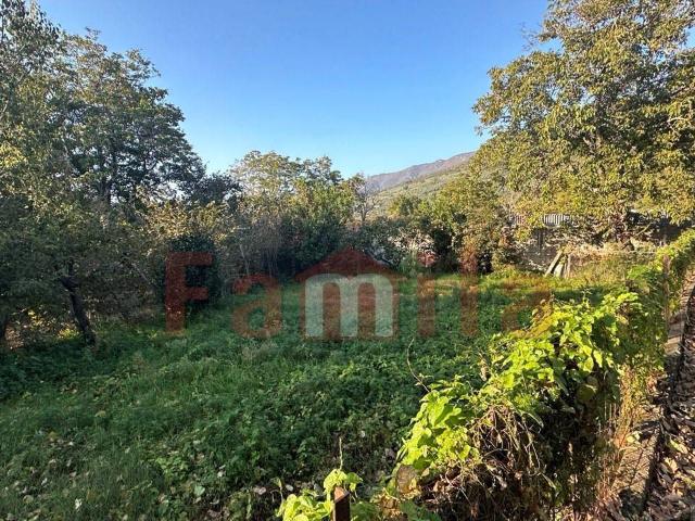 Terreno Agricolo in vendita a Sirignano