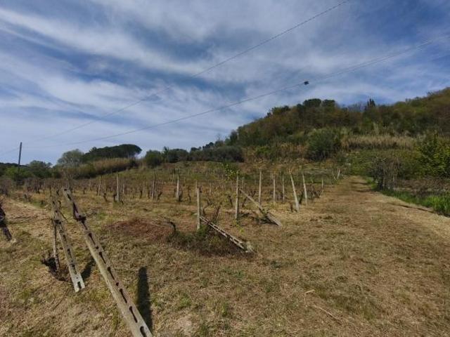 Terreno agricolo in vendita a Soiana Terricciola 11340 mq Rif: 1411574