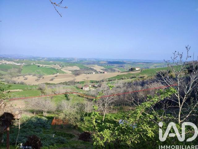 Terreno agricolo in vendita a Staffolo