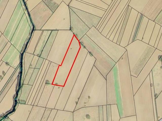 Terreno Agricolo in vendita a Sturno