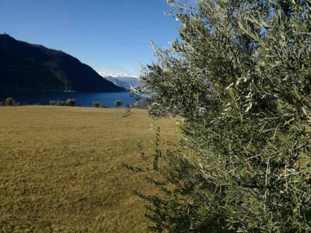 Terreno Agricolo in vendita a Sulzano