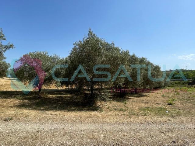 Terreno Agricolo in vendita in contrada piomba 22, Silvi