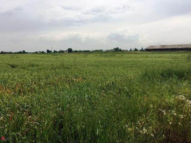 Terreno agricolo in Vendita in Via Cavata 245 a Carpi