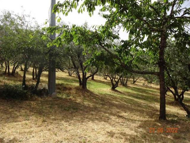 Terreno agricolo in Vendita in zona LECCIO con giardino
