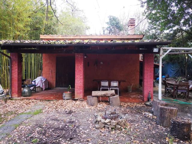 Terreno Agricolo in vendita, Livorno limoncino