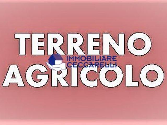 Terreno Agricolo in vendita, Massa ronchi