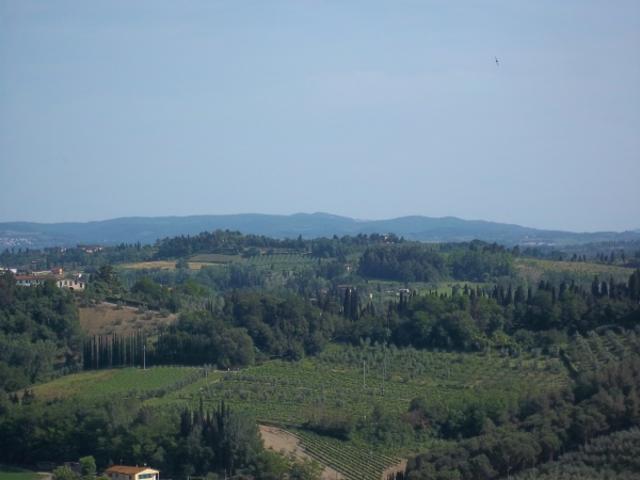 Terreno Agricolo in vendita, San Miniato cusignano