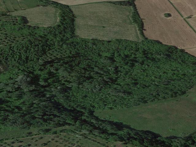 Terreno Agricolo in vendita, San Miniato cusignano