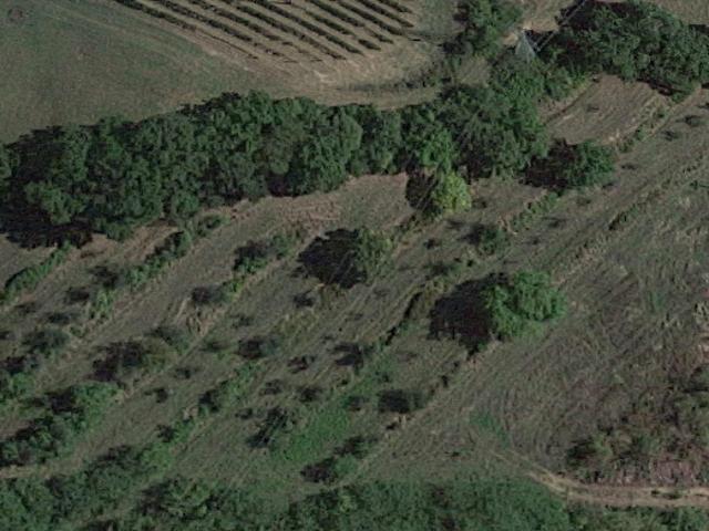 Terreno Agricolo in vendita, San Miniato borghigiana