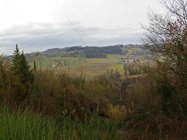 Terreno Agricolo in vendita, San Miniato moriolo