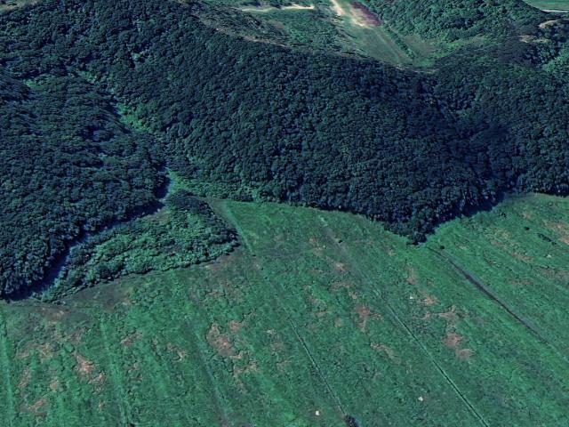 Terreno Agricolo in vendita, San Miniato serra