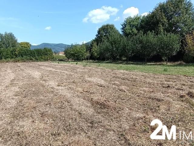 Terreno Agricolo in vendita, San Giuliano Terme pontasserchio