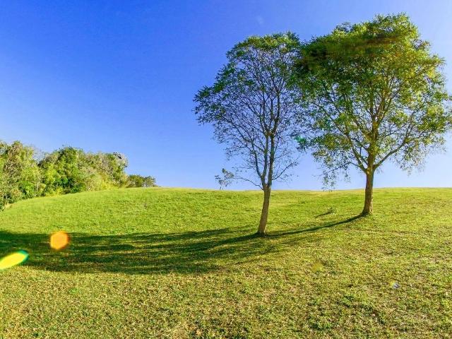 Terreno Agricolo in vendita, Santa Maria a Monte san donato