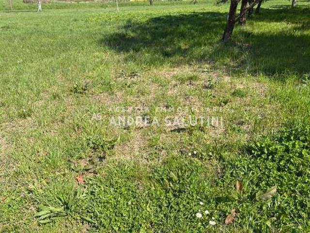 Terreno Agricolo in vendita, Palaia alica baccanella