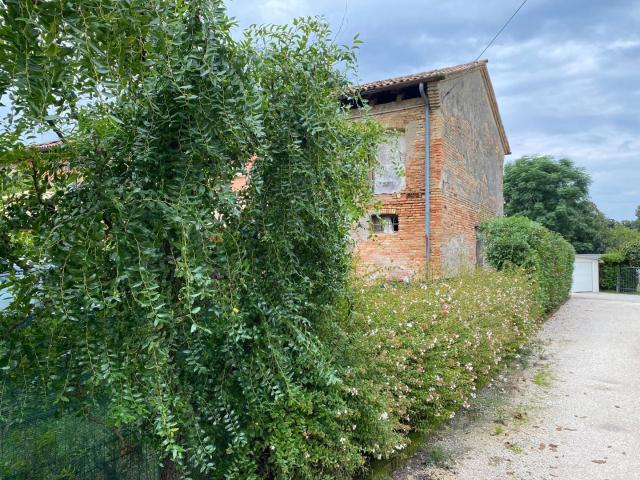Terreno Agricolo in vendita, Treviso sant'antonino