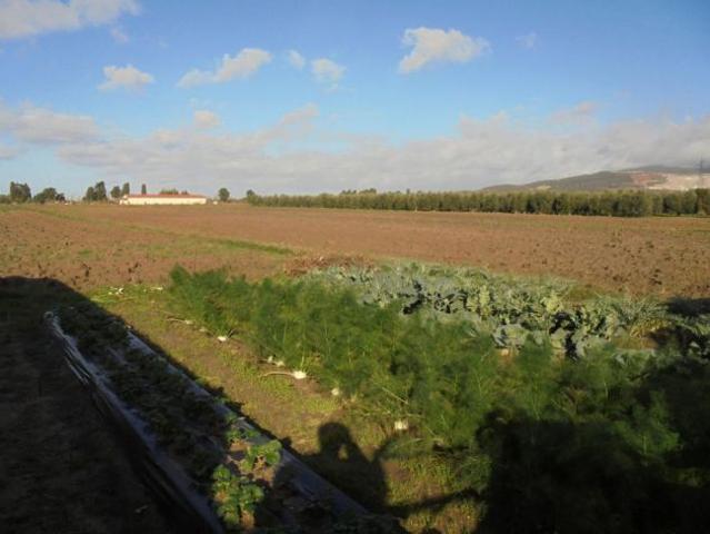 Terreno agricolo irriguo di 5500 mq