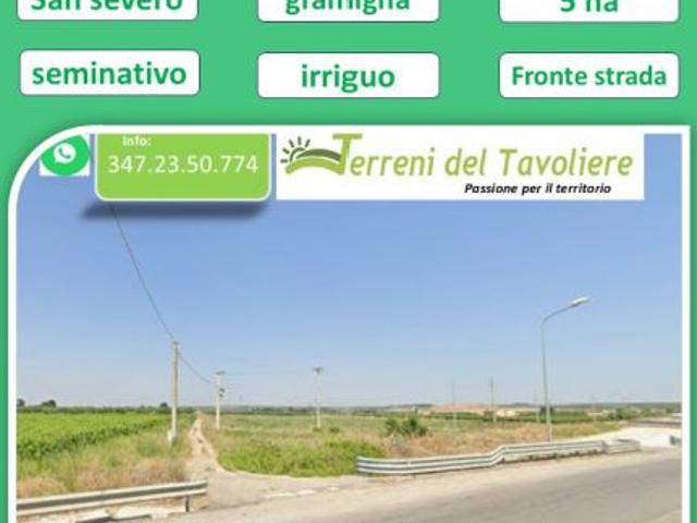 Terreno agricolo seminativo – Agro di San Severo Loc. Torre Gramigna