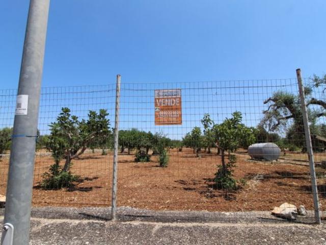 TERRENO AGRICOLO VIA DELLE ROSE GROTTAGLIE