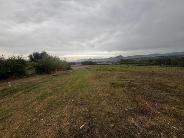 Terreno Agricolo Villamassargia. Rif.: Cod. rif 3281097VRG