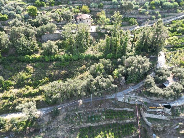 Terreno Agricolo vista mare in via silvio pellico 10, Bordighera