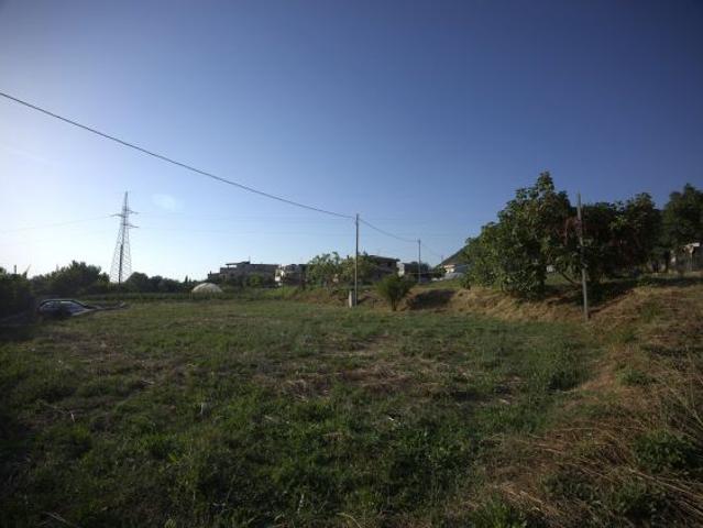 TERRENO AGRICOLO