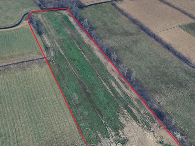 terreno agricolo