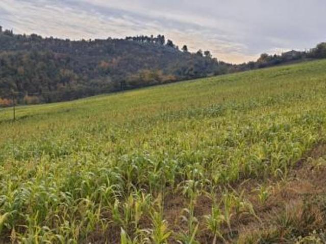 TERRENO AGRICOLO 4000 MQ A BORGO TREVI