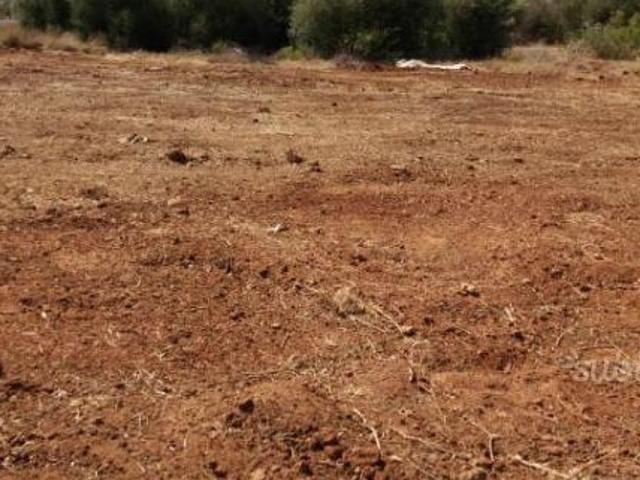 Terreno Agricolo