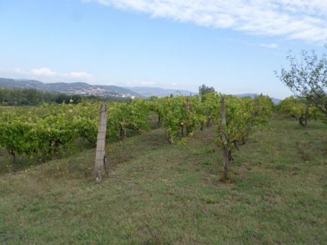 Terreno agricolo 5000 mq in Vendita a Magione