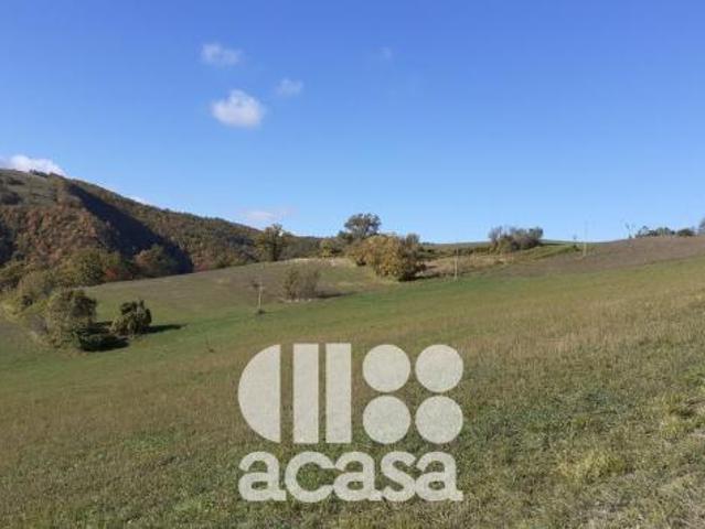 TERRENO AGRICOLO