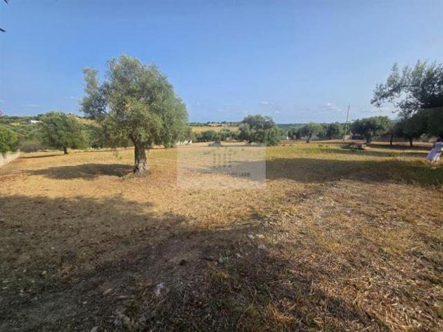 TERRENO AGRICOLO