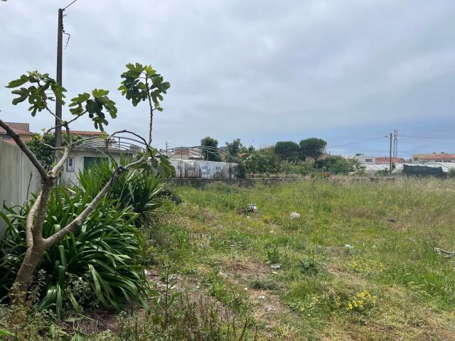 Terreno, Aguçadoura