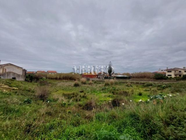 Terreno, Aguçadoura