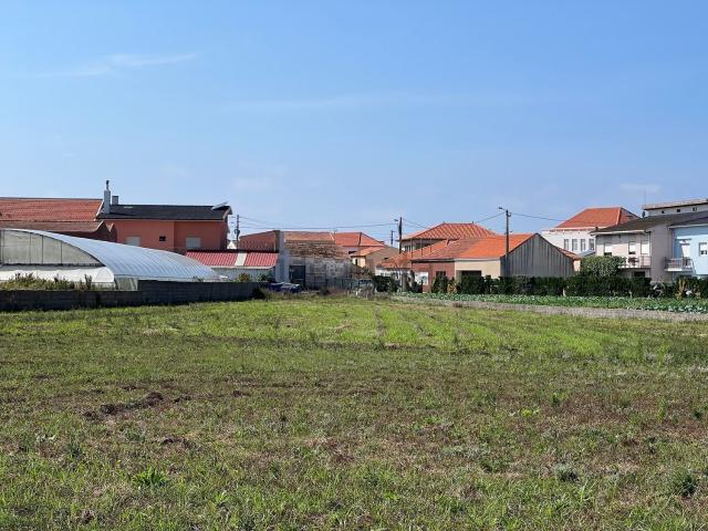 Terreno, Aguçadoura