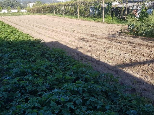 Terreno, Águas Santas