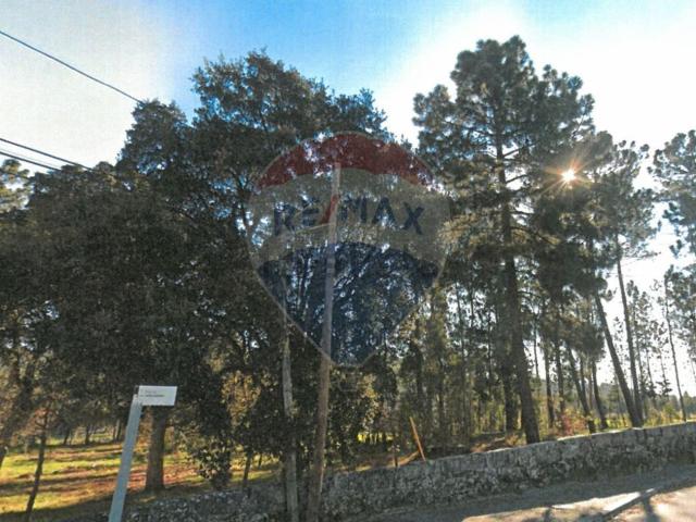 Terreno, Águas Santas