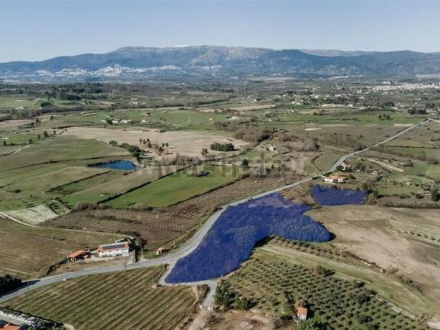 Terreno, Águeda