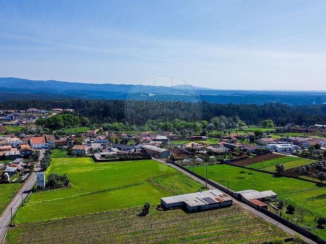 Terreno, Águeda