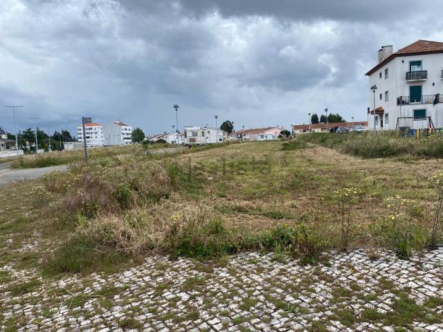 Terreno, Águeda