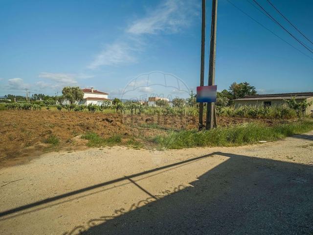 Terreno, Águeda