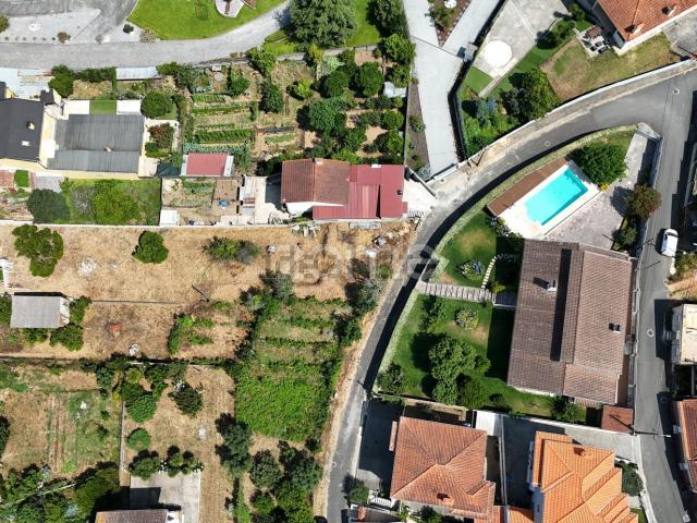 Terreno, Borralha