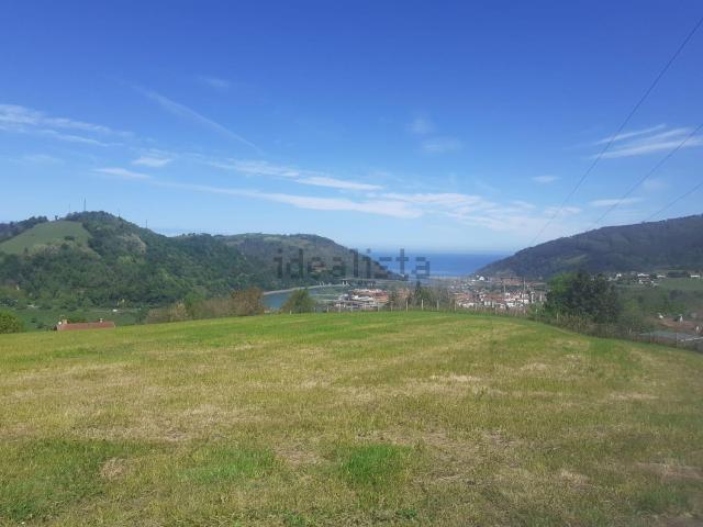 Terreno, Aia