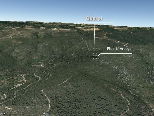 Terreno, Aiguamurcia